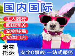 通化三源浦机场快运国际宠物托运 【国